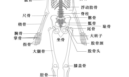 孕妇早期能喝蜂蜜吗有营养吗-孕妇早期能喝蜂蜜吗网—知名的孕早期能喝蜂蜜水吗网站,分享孕早期能喝蜂蜜水吗知识