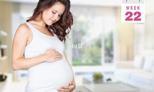 孕妇早期能喝蜂蜜吗有营养吗-孕妇早期能喝蜂蜜吗网—知名的孕早期能喝蜂蜜水吗网站,分享孕早期能喝蜂蜜水吗知识