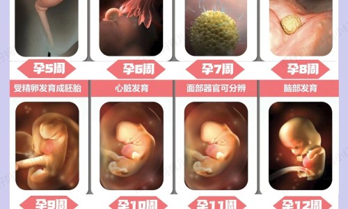 孕早期可以喝蜂蜜水缓解便秘吗-孕妇早期能喝蜂蜜吗网—知名的孕早期能喝蜂蜜水吗网站,分享孕早期能喝蜂蜜水吗知识